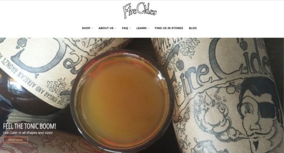 Robin Catalano website copywriting branding berkshire albany fire cider