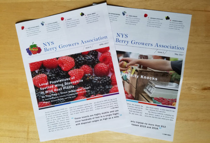 Robin Catalano newsletter copywriter communications manager NYS berry growers RS
