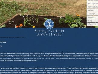 robin_catalano_blogger_content_marketing_starting_a_garden_in_july