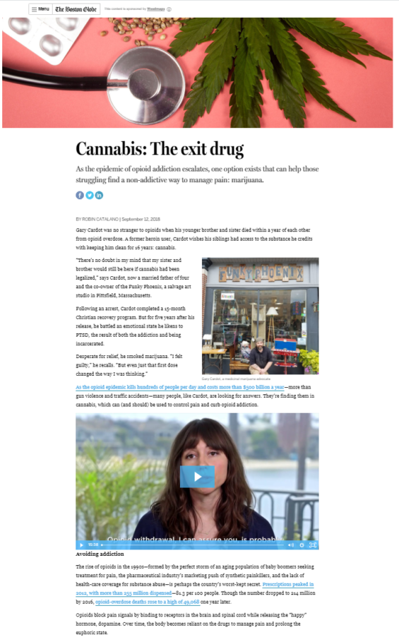 Cannabis as the exit drug for the opioid epidemic_Robin Catalano_writer